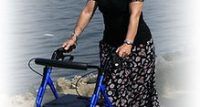 D-Lite Aluminum Rollator